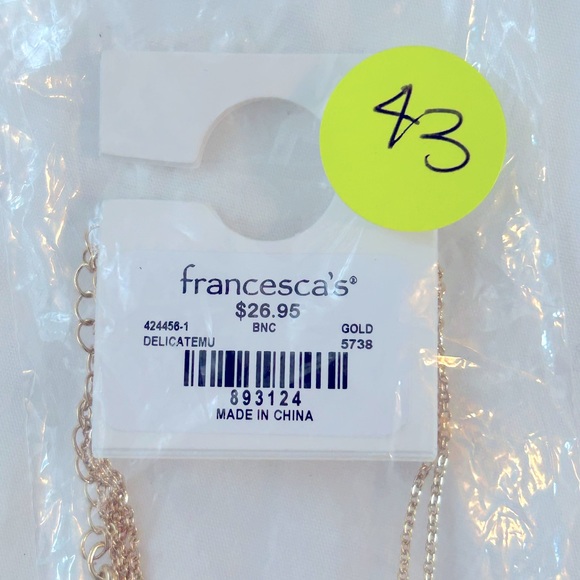 NWT Francesca’s Collection Natasha Layered Pave Crystal Necklace - Picture 8 of 9